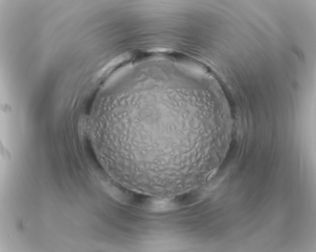 X0000091340093200708101451