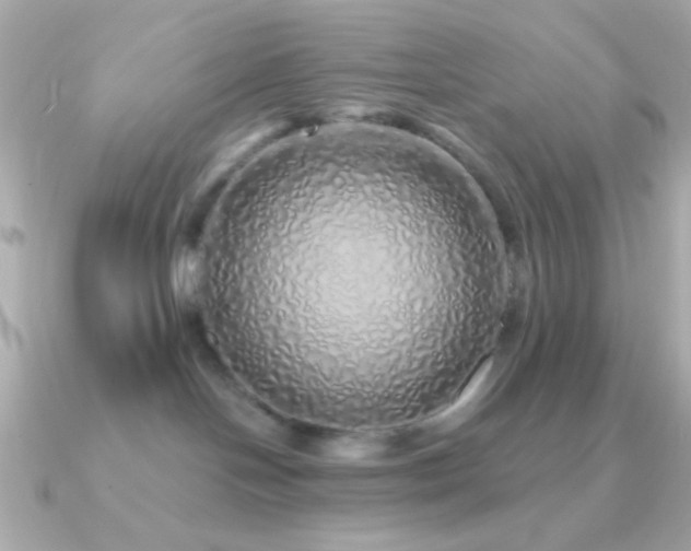 X0000091340094200708101451