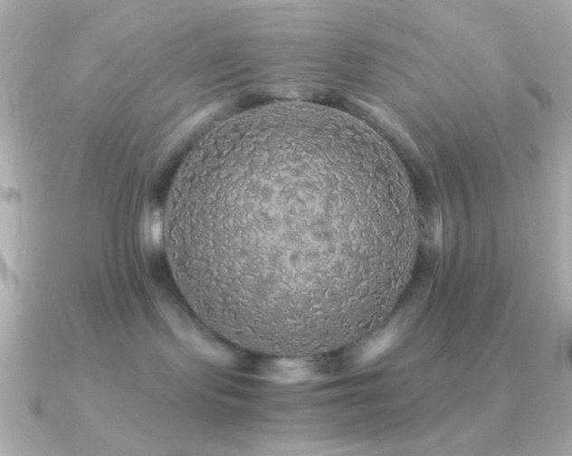 X0000091340095200708101451