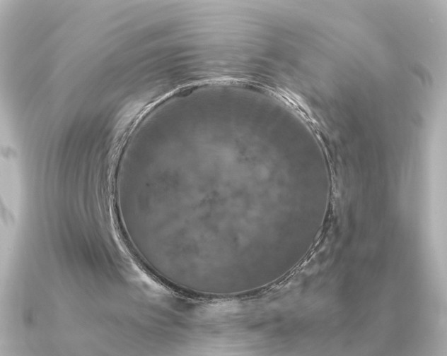 X0000091340097200708101451