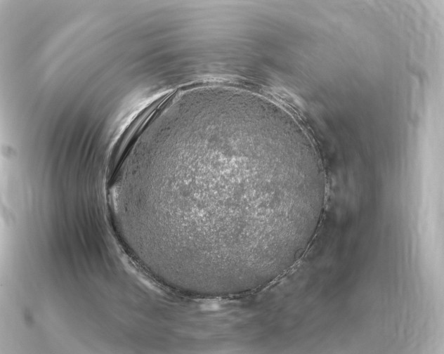X0000091340098200708101451