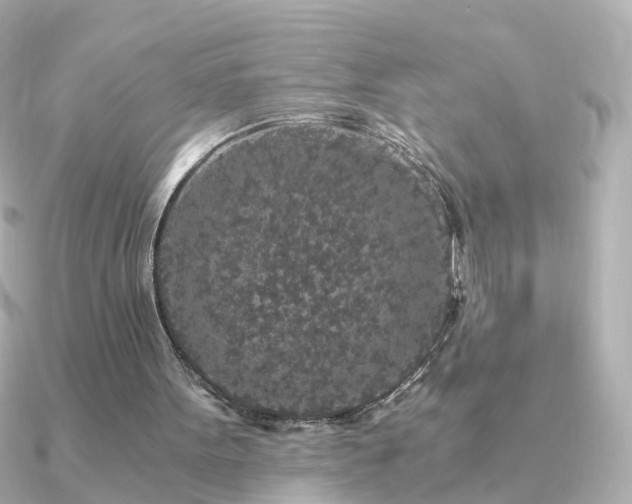X0000091340099200708101451