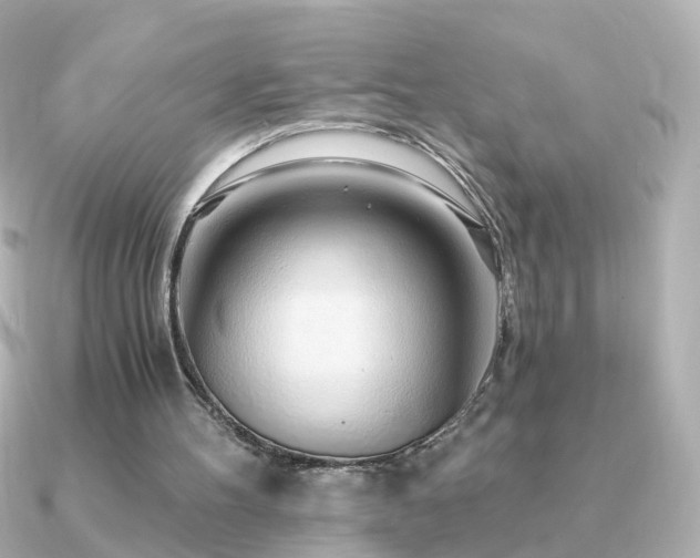 X0000091340100200708101451