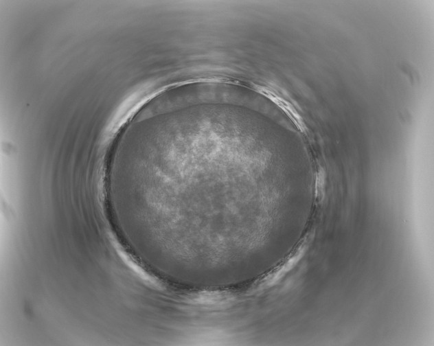 X0000091340101200708101451