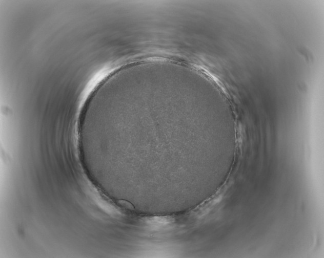 X0000091340102200708101451