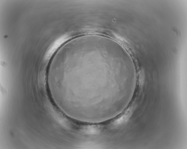 X0000091340103200708101451