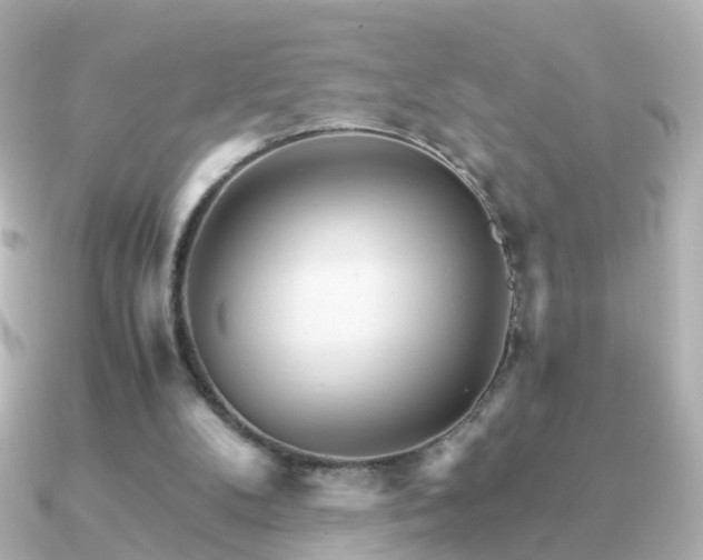 X0000091340104200708101451