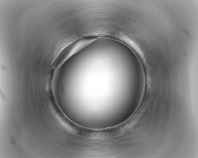 X0000091340105200708101451