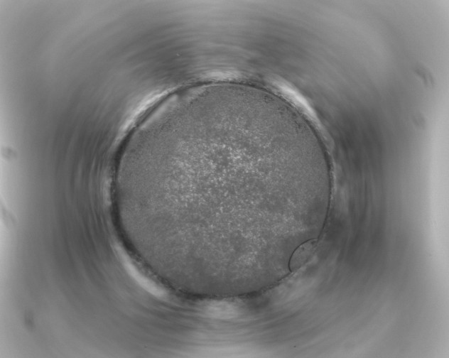 X0000091340106200708101450