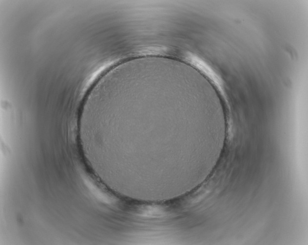 X0000091340107200708101450