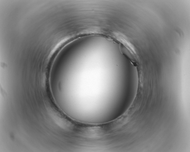 X0000091340108200708101450