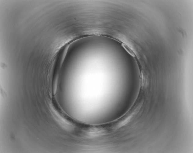 X0000091340109200708101450