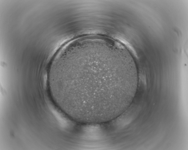 X0000091340110200708101450