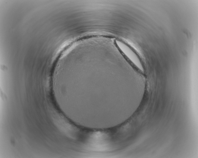 X0000091340111200708101450