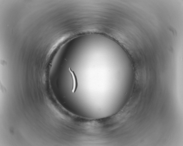 X0000091340112200708101450