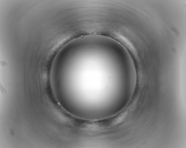 X0000091340113200708101450