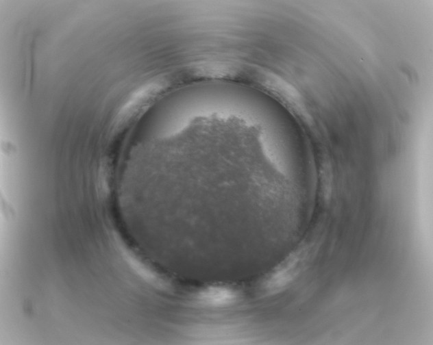 X0000091340114200708101450