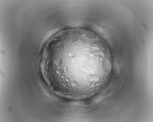 X0000091340115200708101450