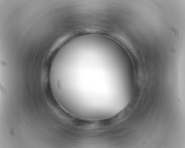 X0000091340116200708101450