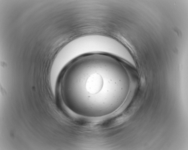 X0000091340117200708101450
