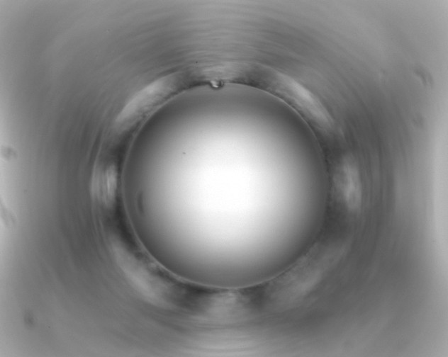X0000091340118200708101450
