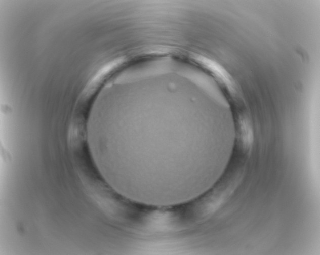 X0000091340119200708101450
