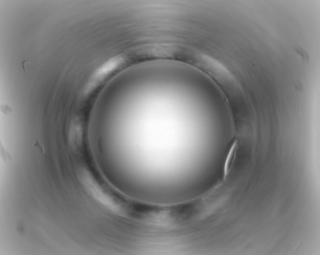 X0000091340120200708101450