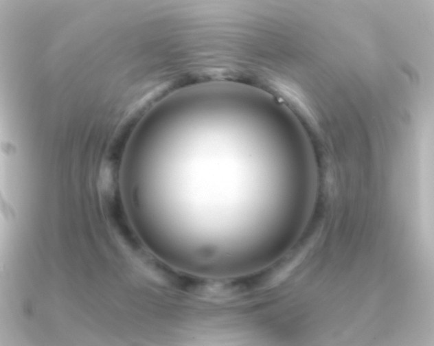 X0000091340121200708101450