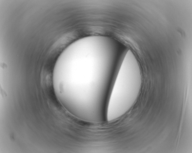 X0000091340123200708101450