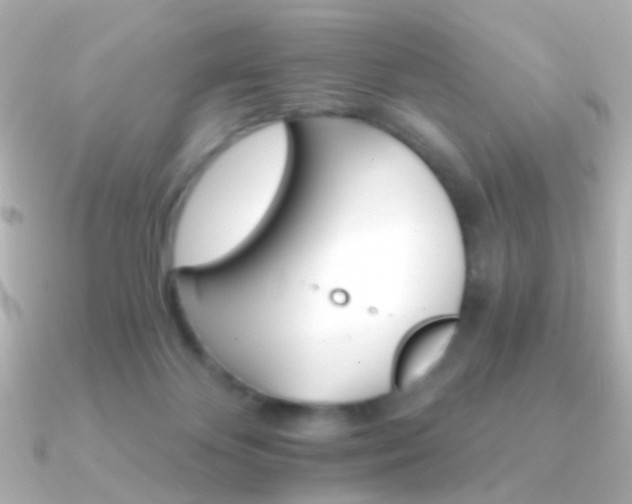 X0000091340124200708101450