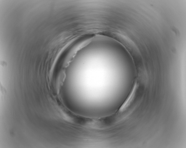 X0000091340125200708101450