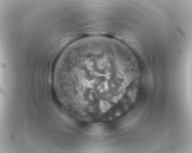 X0000091340127200708101450