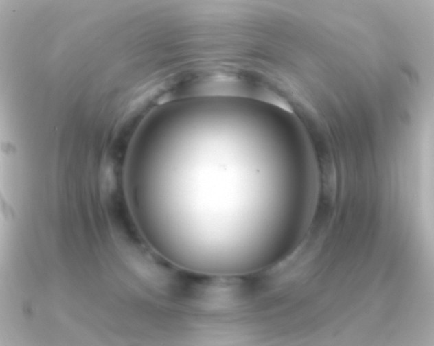 X0000091340128200708101450