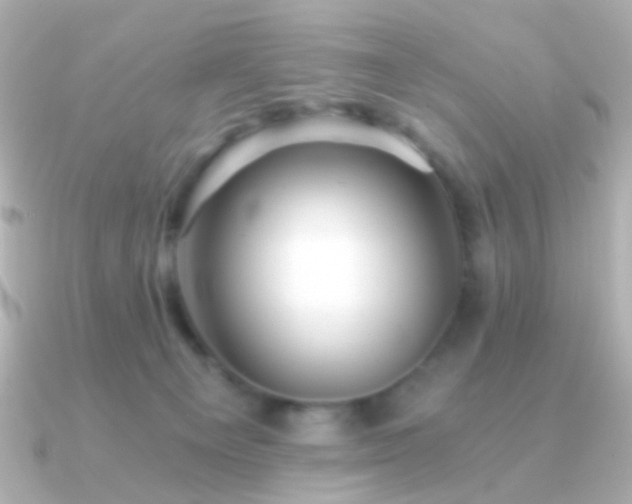 X0000091340129200708101450