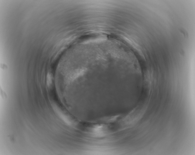 X0000091340130200708101450