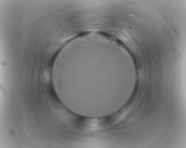 X0000091340131200708101450