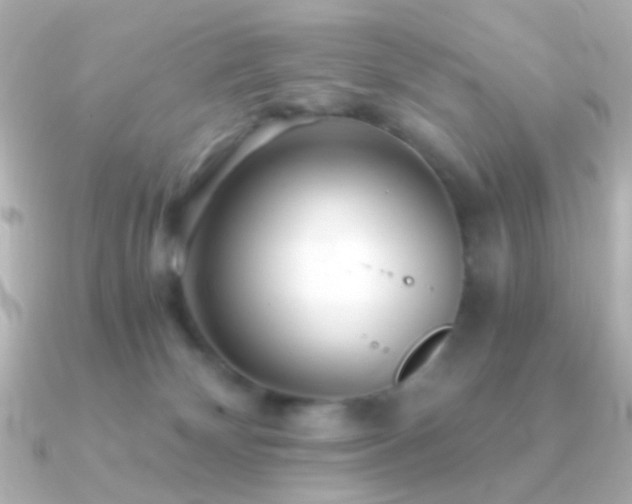 X0000091340132200708101450