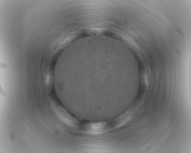 X0000091340134200708101450