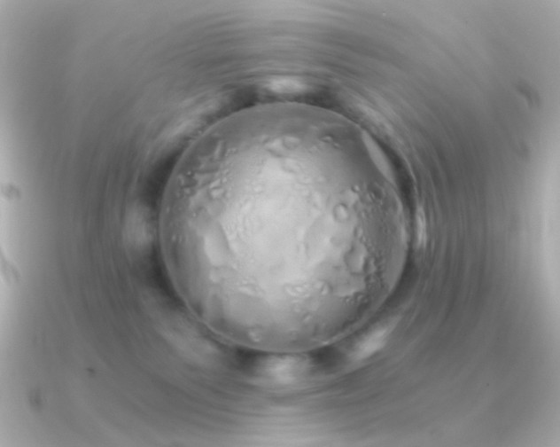 X0000091340135200708101450