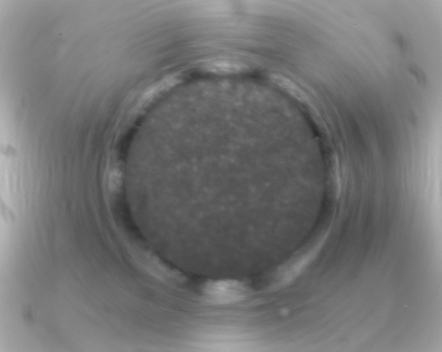 X0000091340137200708101450