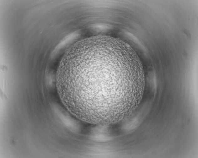 X0000091340138200708101450