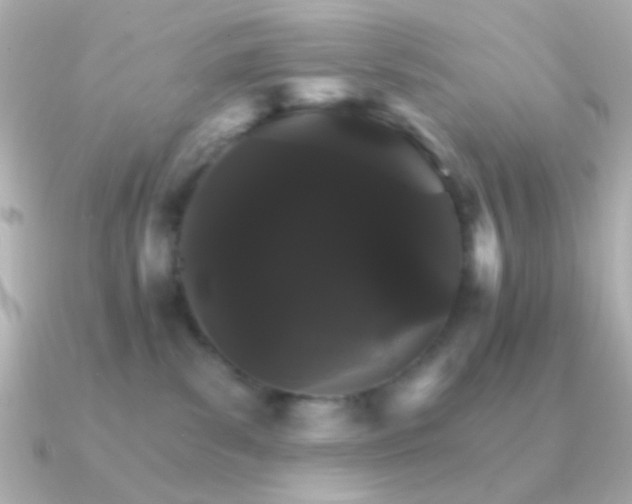 X0000091340139200708101450