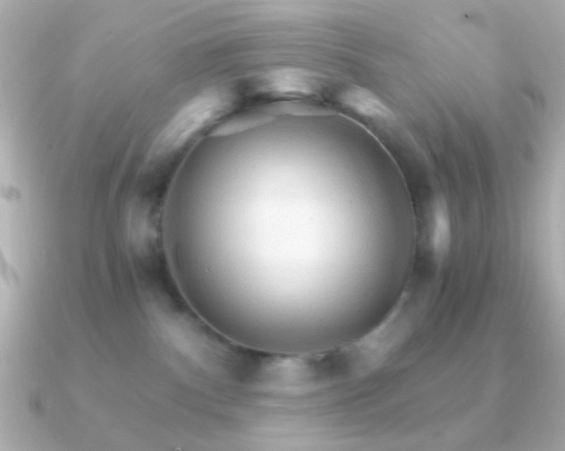 X0000091340140200708101450