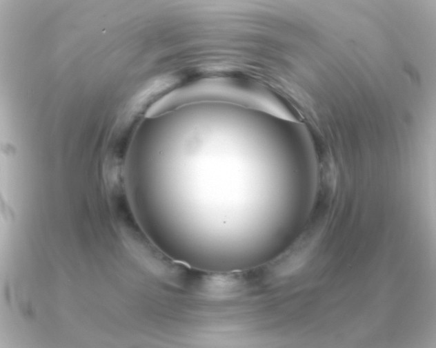 X0000091340141200708101450