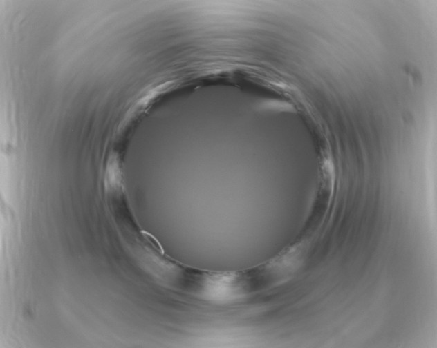 X0000091340143200708101450