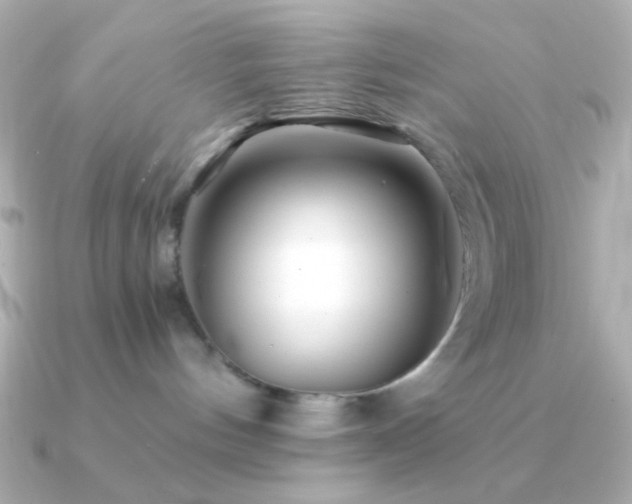 X0000091340144200708101450