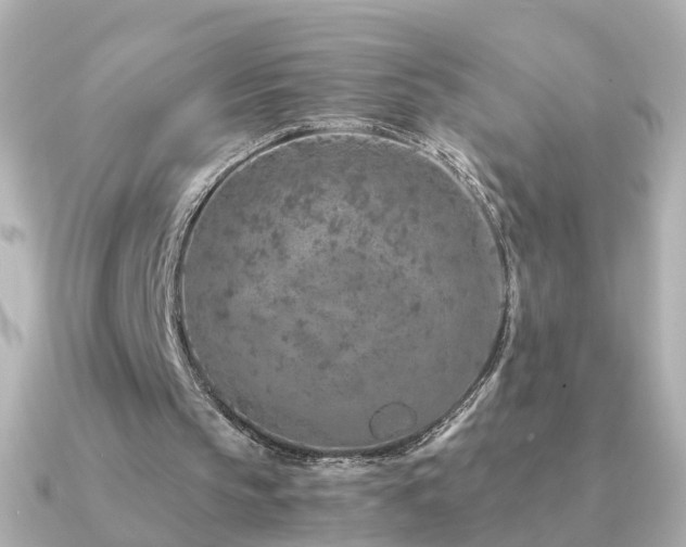 X0000091340145200708101450