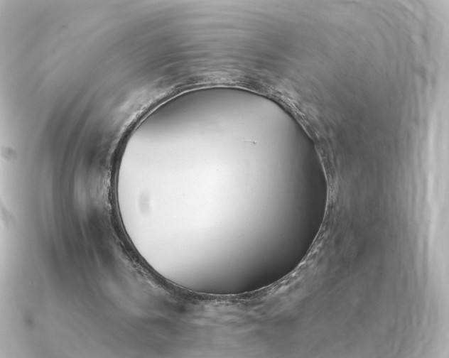 X0000091340146200708101450
