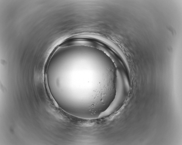 X0000091340148200708101450