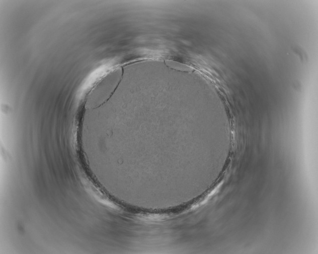 X0000091340149200708101450